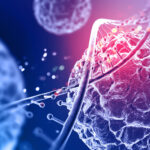 Muğla Şampiyonu Fethiye Boğaları Fethiye Belediyesi’ni ziyaret ettiler – Birlik Haber Ajansı