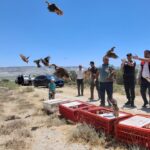 Tunceli’de denetlenmemiş havuz kalmayacak – Birlik Haber Ajansı