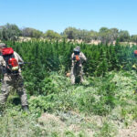 Oruç Reis Somali Denizlerinin MR’ını Çekti – Birlik Haber Ajansı