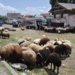 Kuzgun Köyü’nde sabah namazı coşkusu – Birlik Haber Ajansı