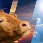 Muazzam İbrohimova: İlk ve son rüşvet – Birlik Haber Ajansı