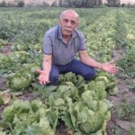 Türkiye Kültür Yolu Festivali Bursa’da başladı: Sanat ve kültürle dolu 9 gün – Birlik Haber Ajansı