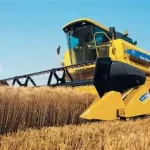 Sincan’da kene tedbirleri: Bakanlık uyarısı sokaklara taştı – Birlik Haber Ajansı