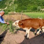 İsrail saldırıları sonrası İran’da internete kısıtlama – Birlik Haber Ajansı