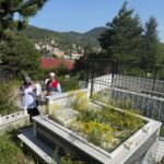 Yeşil Göl eski günlerine döndü: Kuraklık bitti, umut yeşerdi – Birlik Haber Ajansı