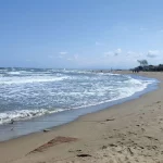 Çaykur Rizespor, İlhan Palut ile yola devam ediyor – Birlik Haber Ajansı