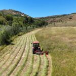 AYHAK Başkanlığına Selim Şahin seçildi: “Türk Avcısı Tek Yürek Oldu” – Birlik Haber Ajansı