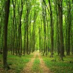 Hamzadere'de 30 yıllık susuzluk bekleyişi sürüyor!