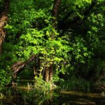 Edirne’nin köylerinde yangın vanası alarmı! – Birlik Haber Ajansı
