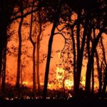 Beypazarı’nda yaz akşamları sinema keyfiyle renklenecek – Birlik Haber Ajansı