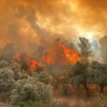 12 ilde dolandırıcılık operasyonu: 230 gözaltı – Birlik Haber Ajansı