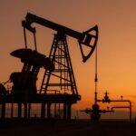 Ordu Büyükşehir Belediye Başkanı Güler: Şirketlerimizin hepsi halka açık, denetlenebilir ve şeffaf – Birlik Haber Ajansı