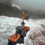 Mavi ekosistemin akciğerleri: Türkiye’nin deniz çayırları karbonu hapsediyor – Birlik Haber Ajansı