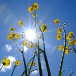 Yurtta sıcak hava dalgası uyarısı – Birlik Haber Ajansı