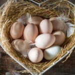 YKS TYT soru ve cevap anahtarları ne zaman açıklanacak? – Birlik Haber Ajansı