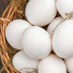 ATO başkanı Baran’dan başkent ekonomisi için stratejik çağrı – Birlik Haber Ajansı