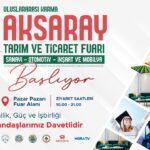 Ankara Eymir Gölü çevresinde orman yangını çıktı – Birlik Haber Ajansı