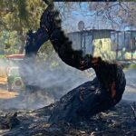 Kudret Çandarlı Kırkpınar Er Meydanında! – Birlik Haber Ajansı