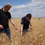 Elvan Işık Gezmiş; Fındık alan bazlı destek yükseltilmeli – Birlik Haber Ajansı