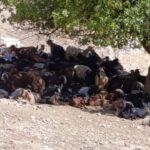 LGS tercih maratonu başlıyor – Birlik Haber Ajansı