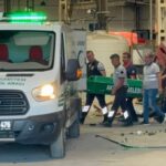 Türk somonu, yılın ilk yarısında 217 milyon dolar ihracat geliri sağladı – Birlik Haber Ajansı