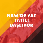 Fatsa Atatürk Parkı sil baştan yenileniyor – Birlik Haber Ajansı