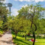 Ankara Büyükşehir Belediyesi’nden İzmir ve Manisa’daki orman yangınlarına destek – Birlik Haber Ajansı