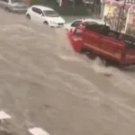 DEVA Partili Karal, şap salgınını Meclis gündemine taşıdı: Üretici kaderine terk edildi – Birlik Haber Ajansı