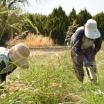 Milletvekili Adem Çalkın: “Filistin’in tanınması, insanlık değerlerinin yanında durmanın göstergesidir” – Birlik Haber Ajansı