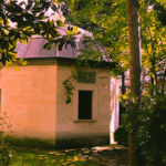 Vali Ziya Polat, Sürat Pateni etkinliğinde sporcularla bir araya geldi – Birlik Haber Ajansı