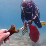 Keçiborlu‘da havacılık ve spor yatırımları yerinde incelendi – Birlik Haber Ajansı