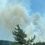 Manavgat’ta tarım arazisinde çıkan yangın ormana sıçradı