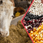 Vali Ziya Polat, Sarıkamış Belediye Başkanı Serdar Kılıç’ı kabul etti – Birlik Haber Ajansı