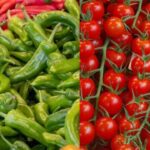 Ankara Halk Ekmek’ten bir dijital yenilik daha – Birlik Haber Ajansı