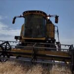 AK Parti Kars İl Teşkilatı’ndan 15 Temmuz’a özel bayrak dağıtımı – Birlik Haber Ajansı