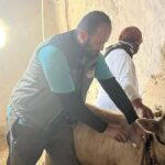 Kapadokya semalarında 15 Temmuz mesajı – Birlik Haber Ajansı