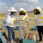 Eyyübiye, sokak hayvanları sorununu çözdü – Birlik Haber Ajansı