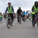 Ordu Büyükşehir sineksiz bir yaz için sahada – Birlik Haber Ajansı