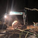 Gıda satış ve tüketim yerlerinde karekod zorunluluğu başlıyor – Birlik Haber Ajansı