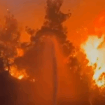 Göbeklitepe ve Fuat Sezgin mirası gelecek kuşaklara aktarılıyor – Birlik Haber Ajansı