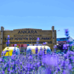 Kaçak yapıya geçit yok! – Birlik Haber Ajansı