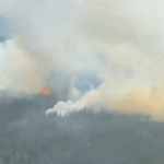 Çankırı’nın Yapraklı ilçesinde orman yangını: Müdahale sürüyor – Birlik Haber Ajansı