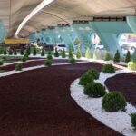 Problemleri fırsata çevirmenin anahtarı: Eleştirel düşünme – Birlik Haber Ajansı