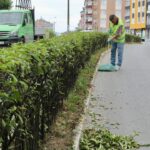 Bakanlıktan arıcılara öneri: Arıcılık turizmi – Birlik Haber Ajansı