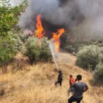 Hatay’da çıkan orman yangını kontrol altına alındı – Birlik Haber Ajansı