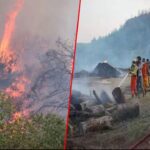 Artvin Ticaret Borsası Yönetim Kurulu toplantısı gerçekleştirildi – Birlik Haber Ajansı