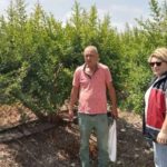 “Şeker Hamurundan Hayallerim” projesi kapanıyor, yeni dernek binası açılıyor – Birlik Haber Ajansı