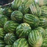 Digor İlçe Muhtarlarından Kaymakam Kahraman’a hayırlı olsun ziyareti – Birlik Haber Ajansı