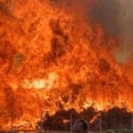 İzmir Büyükşehir Belediyesi soruşturmasında gözaltı sayısı 130’a yükseldi – Birlik Haber Ajansı