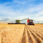 Çamoluk’ta yüzleri güldüren tarım projeleri – Birlik Haber Ajansı